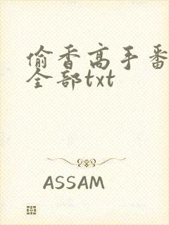 偷香高手番外篇全部txt