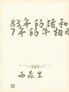 83年的猪和97年的牛相配婚姻如何