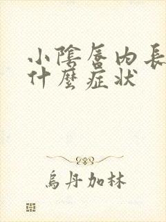 小阴唇内长疣有什么症状