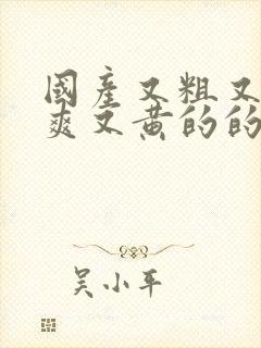 国产又粗又猛又爽又黄的的视频