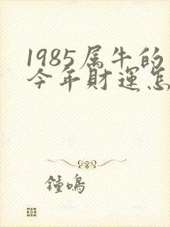 1985属牛的今年财运怎么样