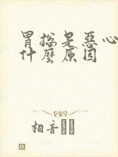 胃总是恶心反胃什么原因