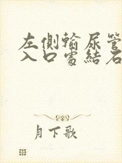 左侧输尿管膀胱入口处结石怎么办