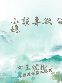 小说妻欲 公与媳