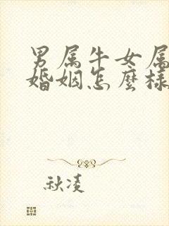 男属牛女属兔的婚姻怎么样