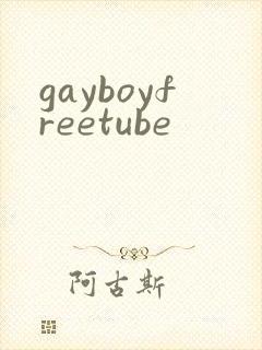 gayboyfreetube