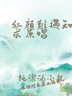 红颜难遇知己难求原唱