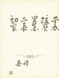 初二男孩子叛逆家长怎么办