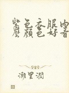 紫色衣服内搭什么颜色好看