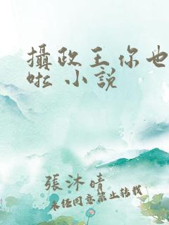 摄政王你也重生啦 小说