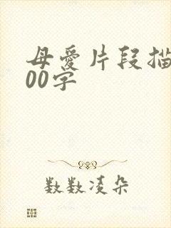 母爱片段描写200字