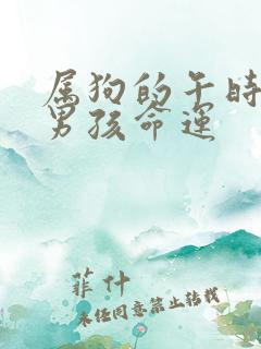 属狗的午时出生男孩命运