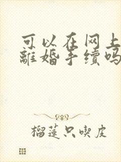 可以在网上办理离婚手续吗