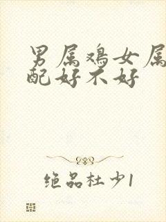 男属鸡女属羊婚配好不好