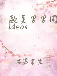 欧美男男同志videos