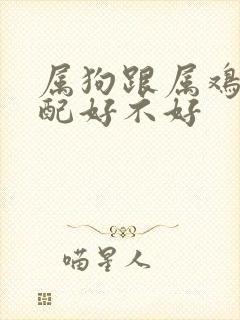 属狗跟属鸡的婚配好不好