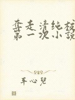夺走清纯校花的第一次小说