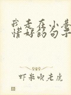 我走在小巷里心情好的句子