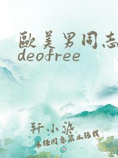 欧美男同志videofree