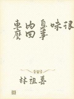 车内臭味很重怎么回事