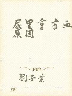 尿里会有血什么原因