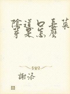 阴道口长菜花肉芽是怎么