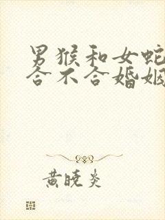 男猴和女蛇属相合不合婚姻