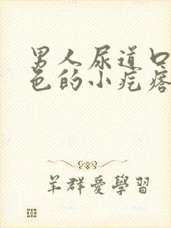 男人尿道口有白色的小疙瘩