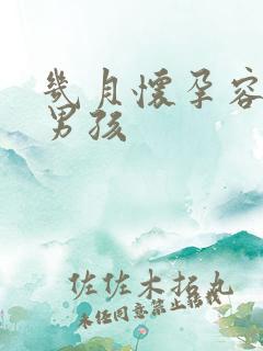 几月怀孕容易生男孩