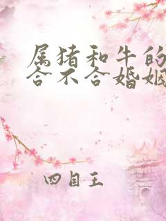 属猪和牛的属相合不合婚姻