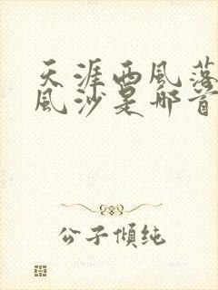 天涯西风落日落风沙是哪首歌的歌词