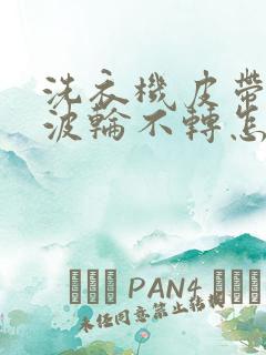 洗衣机皮带轮转波轮不转怎么回事