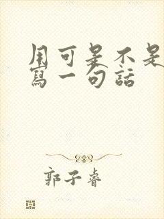 用可是不是就是写一句话