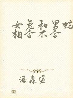 女兔和男蛇的属相合不合