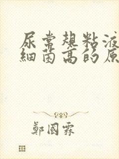 尿常规粘液丝与细菌高的原因