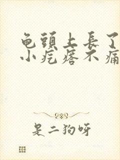 龟头上长了一圈小疙瘩不痛不痒