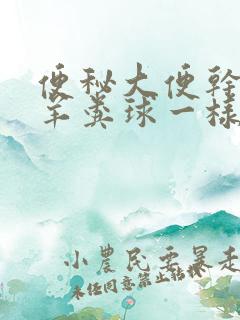 便秘大便干燥跟羊粪球一样怎么治