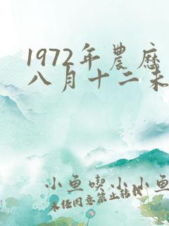 1972年农历八月十二未时出生的人的命运