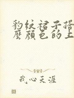 豹纹裙子搭配什么颜色的上衣好看