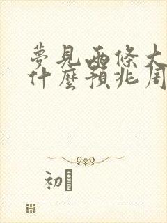 梦见两条大蛇是什么预兆周公解梦