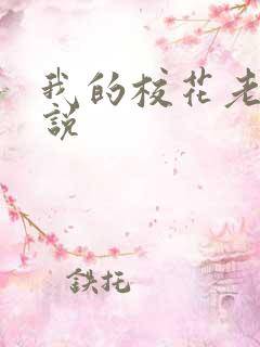 我的校花老婆小说