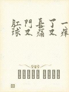 肛门长了一个肉球又痛又痒