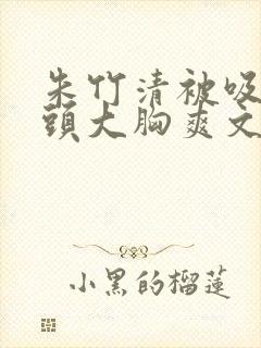 朱竹清被吸乳奶头大胸爽文