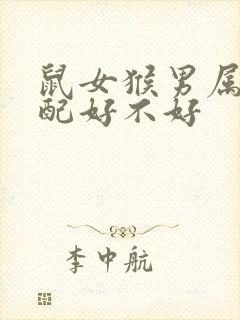 鼠女猴男属相婚配好不好