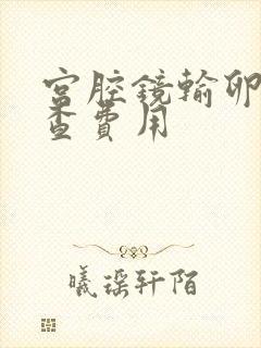 宫腔镜输卵管检查费用