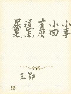 尿道有小小米粒是怎么回事