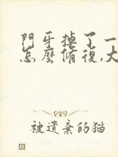 门牙掉了一小块怎么修复,大概得多少钱