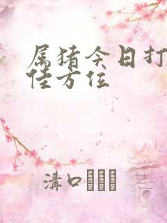 属猪今日打牌最佳方位