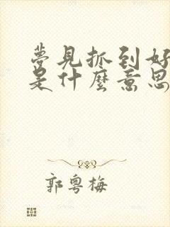 梦见抓到好多鱼是什么意思