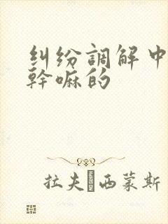 纠纷调解中心是干嘛的